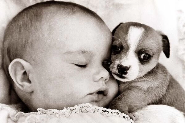 Baby sleeps with cute puppy circa 1965