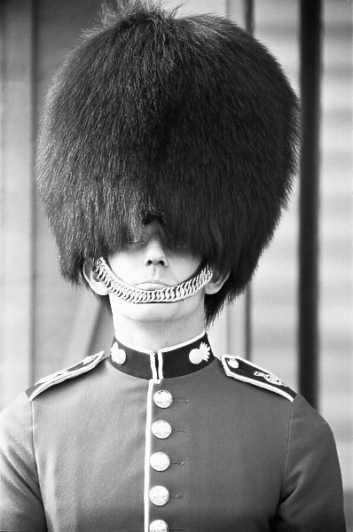 Bad Hair day for a Grenadier Guard on sentry duty outside Buckingham Palace trying to