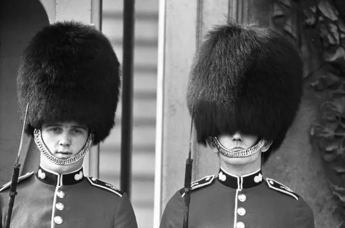 Framed Print : Bad Hair day for a Grenadier Guard on sentry duty outside Buckingham Palace 14th October