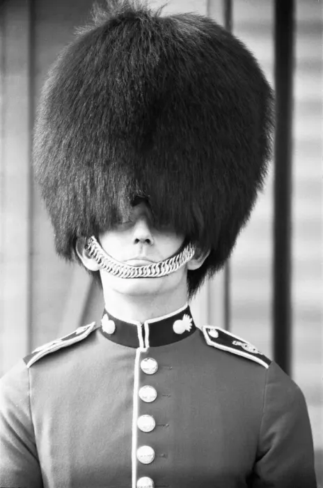 Framed Print : Bad Hair day for a Grenadier Guard on sentry duty outside Buckingham Palace trying to Framed Print : Bad Hair day for a Grenadier Guard on sentry duty outside Buckingham Palace trying to