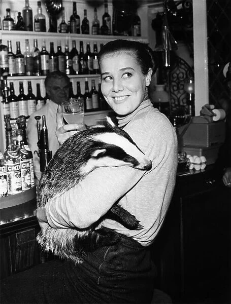 The Badger at the Bar. Miss Bodge, the saloon-bar badger