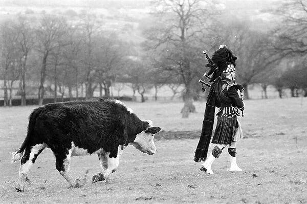 Bagpiper Craig McIntosh practises playing his bagpipes in a field