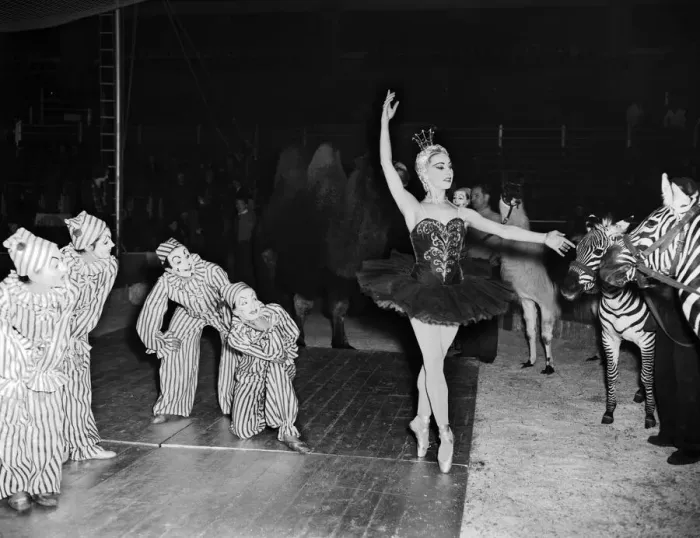 Framed Print : A ballet dancer during a circus rehearsal at Olympia, London, 14th December 1952 Framed Print : A ballet dancer during a circus rehearsal at Olympia, London, 14th December 1952