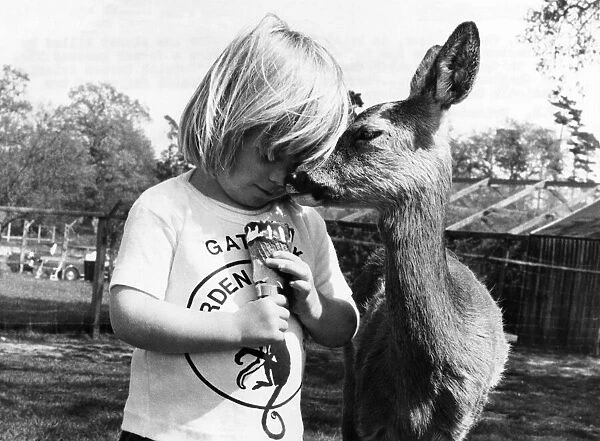 Bambi the deer and little girl Samantha. July 1977 P011901