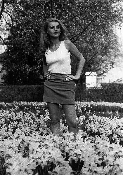 Barbara Bouchet actress standing in daffodils flowers 1967 in Kensington