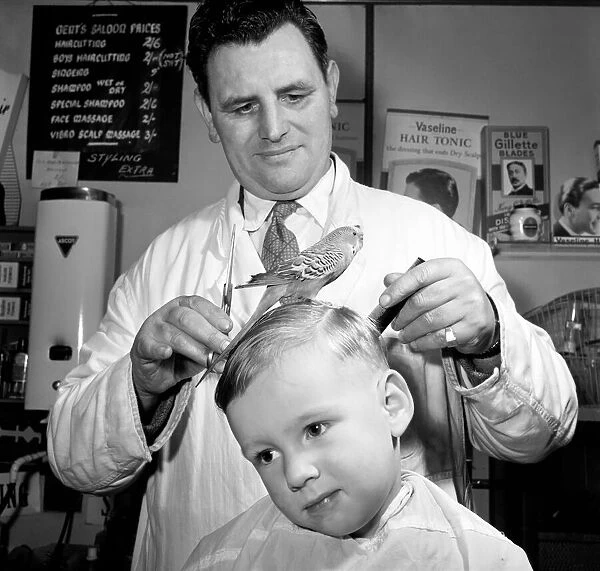 Barber Shop Humour: Mr. Jim Reid with Billy the Budgie seen here at the barber shop