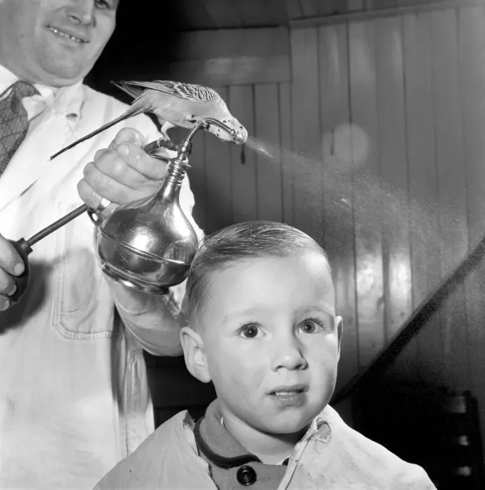 Framed Print : Barber Shop Humour: Mr. Jim Reid with Billy the Budgie seen here at the barber shop Framed Print : Barber Shop Humour: Mr. Jim Reid with Billy the Budgie seen here at the barber shop