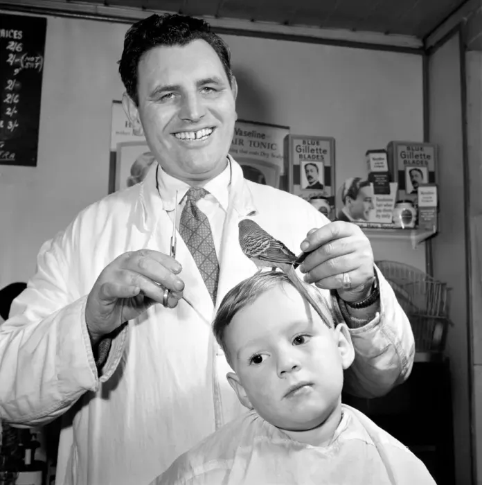 Framed Print : Barber Shop Humour: Mr. Jim Reid with Billy the Budgie seen here at the barber shop Framed Print : Barber Shop Humour: Mr. Jim Reid with Billy the Budgie seen here at the barber shop