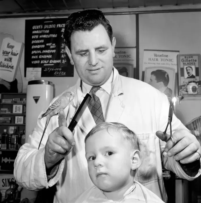 Framed Print : Barber Shop Humour: Mr. Jim Reid with Billy the Budgie seen here at the barber shop