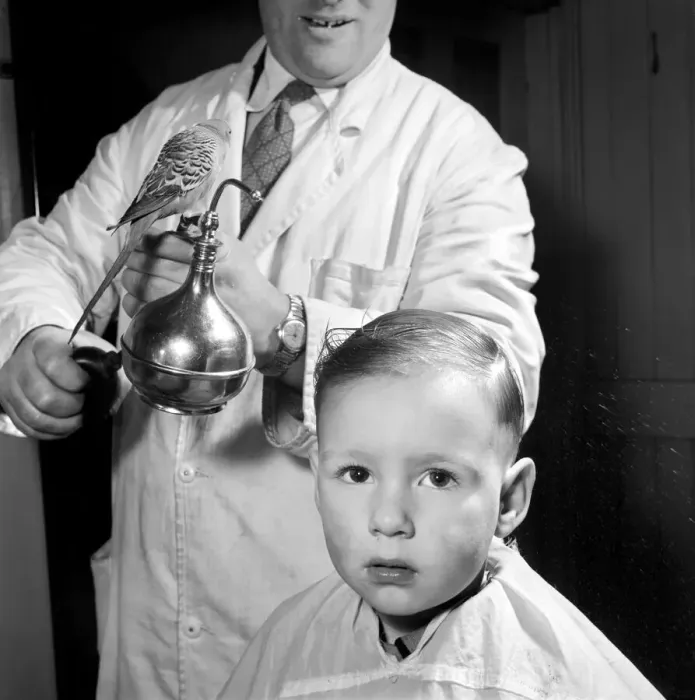 Framed Print : Barber Shop Humour: Mr. Jim Reid with Billy the Budgie seen here at the barber shop
