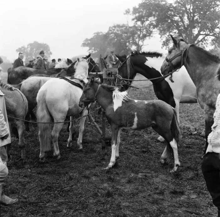 Framed Print : Barnet Fair in Barnet, Hertfordshire. The event has been held for hundreds of years