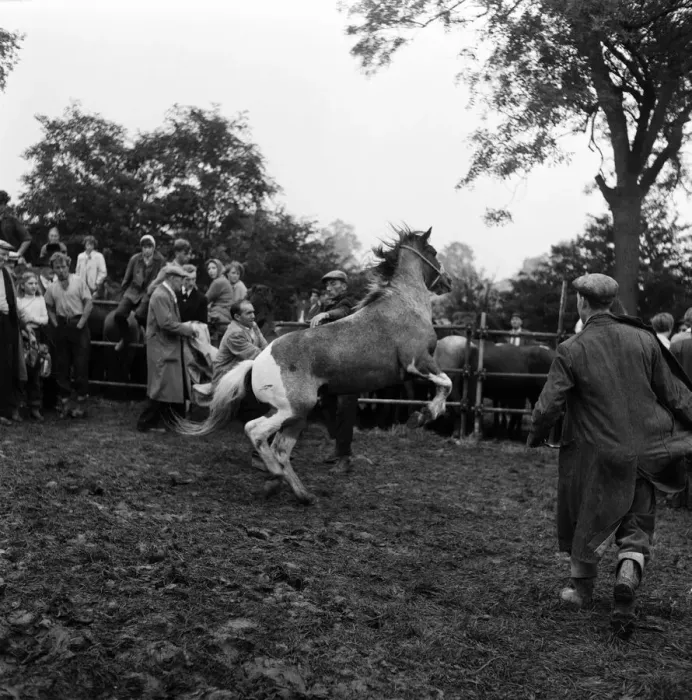 Framed Print : Barnet Fair in Barnet, Hertfordshire. The event has been held for hundreds of years Framed Print : Barnet Fair in Barnet, Hertfordshire. The event has been held for hundreds of years