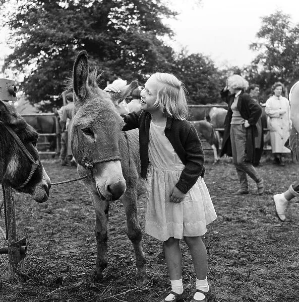 Barnet Fair in Barnet, Hertfordshire. The event has been held for hundreds of years