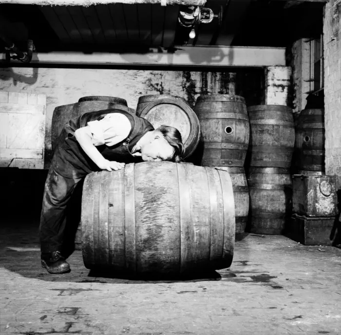Framed Print : A barrel inspector at work at Hancocks Brewery in Cardiff. July 1952 C3603-002 Framed Print : A barrel inspector at work at Hancocks Brewery in Cardiff. July 1952 C3603-002