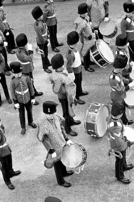 Framed Print : One bass drummer from the Coldstream Guards who found a way of beating the cold by Framed Print : One bass drummer from the Coldstream Guards who found a way of beating the cold by