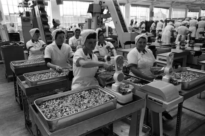 Framed Print : Bassets confectionery factory, Owlerton, Sheffield. 4th September 1967 Framed Print : Bassets confectionery factory, Owlerton, Sheffield. 4th September 1967