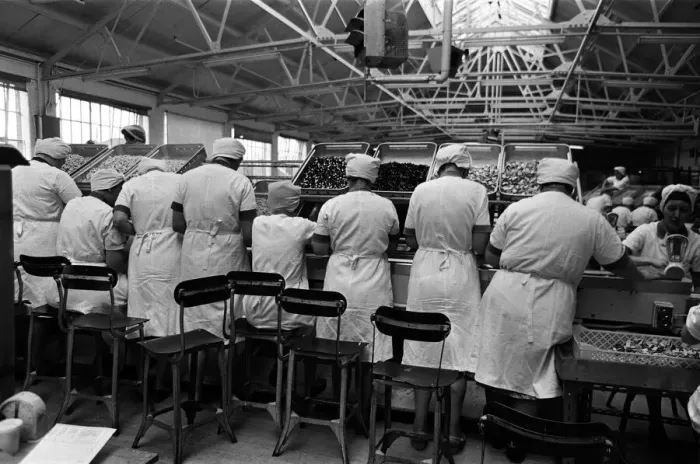 Framed Print : Bassets confectionery factory, Owlerton, Sheffield. 4th September 1967 Framed Print : Bassets confectionery factory, Owlerton, Sheffield. 4th September 1967