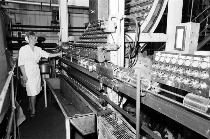 Framed Print : Batchelors food factory, Wadsley Bridge, Sheffield. Margaret Jarvis Framed Print : Batchelors food factory, Wadsley Bridge, Sheffield. Margaret Jarvis