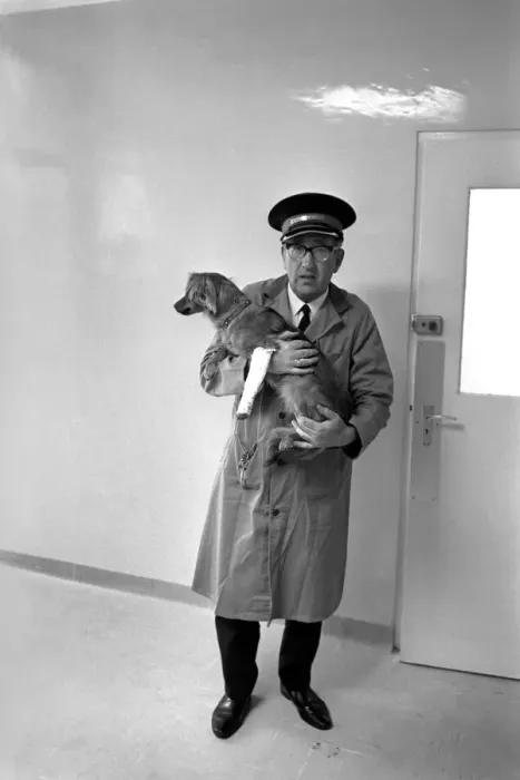 Framed Print : Battersea dogs home opens new wing. June 1970 70-5895-002