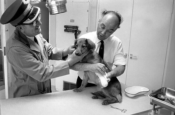 Battersea dogs home opens new wing. June 1970 70-5895-005