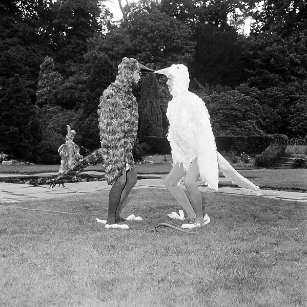 Bee Gee brothers Barry & Maurice Gibb dress up as birds for a scene in their upcoming tv