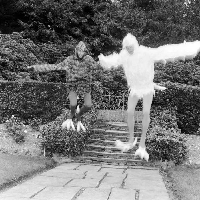 Framed Print : Bee Gee brothers Barry & Maurice Gibb dress up as birds for a scene in their upcoming tv
