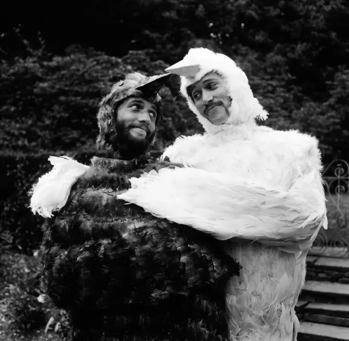 Framed Print : Bee Gee brothers Barry & Maurice Gibb dress up as birds for a scene in their upcoming tv Framed Print : Bee Gee brothers Barry & Maurice Gibb dress up as birds for a scene in their upcoming tv