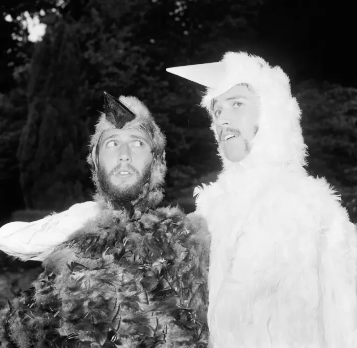 Framed Print : Bee Gee brothers Barry & Maurice Gibb dress up as birds for a scene in their upcoming tv Framed Print : Bee Gee brothers Barry & Maurice Gibb dress up as birds for a scene in their upcoming tv