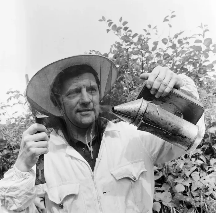 Framed Print : Beekeeper, G Baitey, holding Smoker with heat shield and hook, Newcastle, 22nd July 1971 Framed Print : Beekeeper, G Baitey, holding Smoker with heat shield and hook, Newcastle, 22nd July 1971