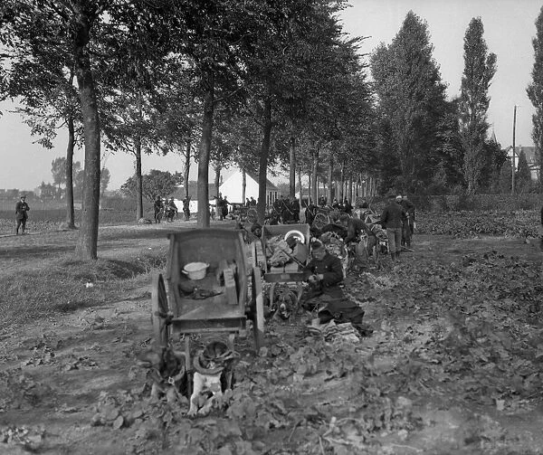 Belgian army dog teams rest by the roadside as soldiers in the backgroundd build a