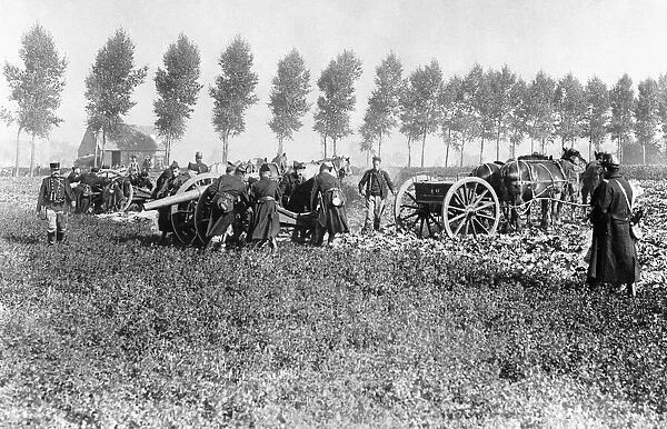 Belgian artillery battery un-limbering guns near Dendermonde circa 5th September 1914