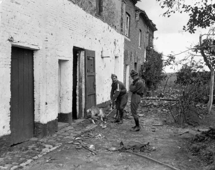 Framed Print : Belgian Boy Scout seen here rescuing animals from abandoned Framed Print : Belgian Boy Scout seen here rescuing animals from abandoned