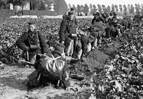 Belgian soldiers seen here digging trenches before the town of Audeghem