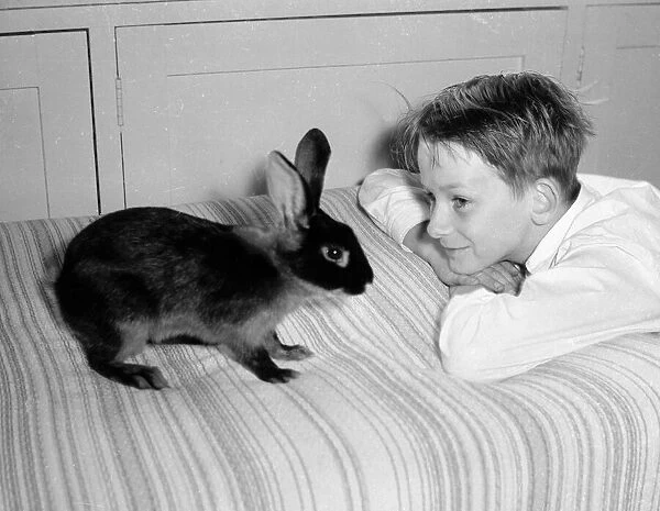 Bernard Alfieri Jnr. Boy with his pet rabbit on his bed. 20th July 1934