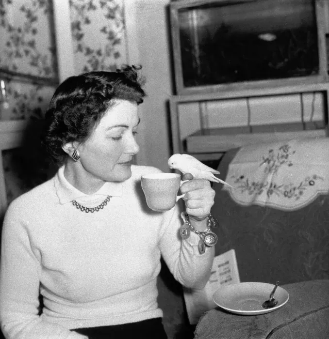 Framed Print : Bernard Alfieri Jnr. Woman and Budgie drinking from her tea cup. 20th July 1934 Framed Print : Bernard Alfieri Jnr. Woman and Budgie drinking from her tea cup. 20th July 1934