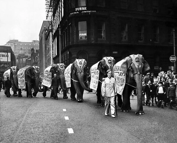 Bertram Mills circus elephants arrive in Manchester. The six Bertram Mills circus
