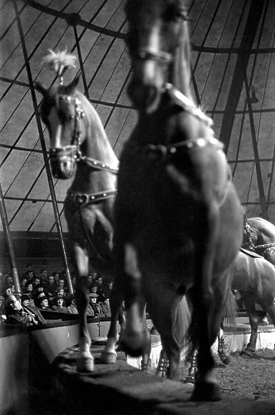 Bertram Mills Circus at Luton. April 1950 O23401-001