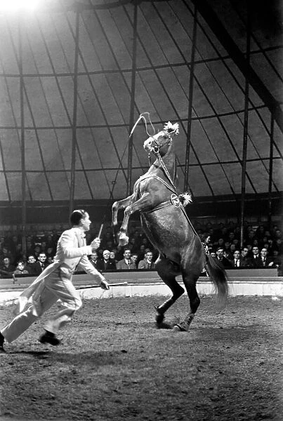 Bertram Mills Circus at Luton. April 1950 O23401-004