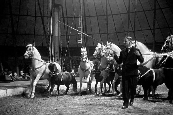 Bertram Mills Circus at Luton. April 1950 O23401-006