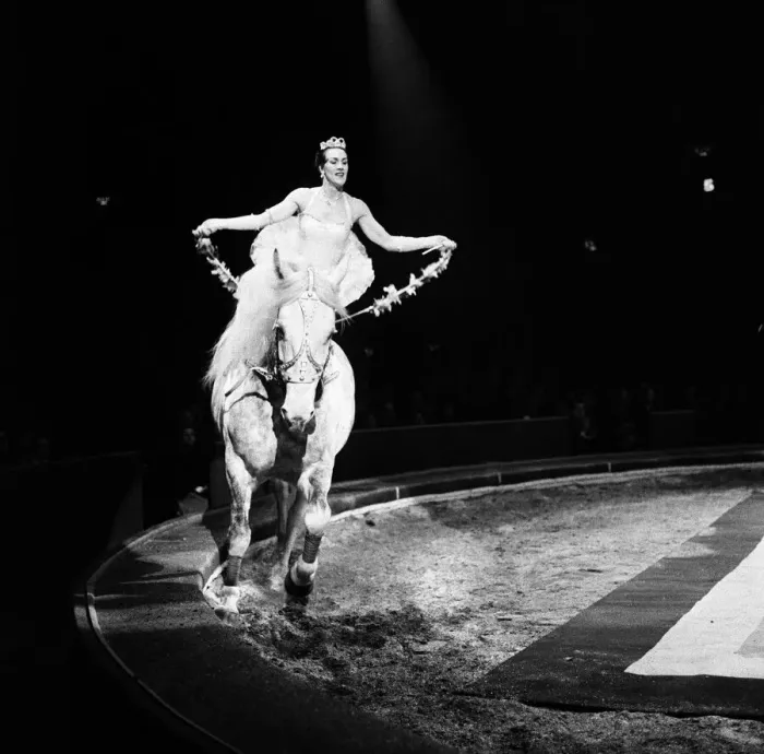 Framed Print : Bertram Mills Circus, a performance with a horse. 19th December 1958