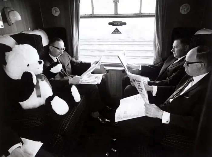 Framed Print : In best British fashion, fellow passengers ignore Peter the panda in a carriage on board Framed Print : In best British fashion, fellow passengers ignore Peter the panda in a carriage on board