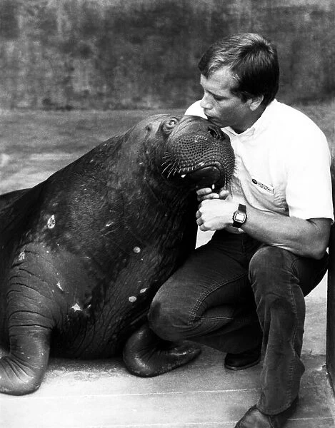 Best of Friends... Bristles the Walrus with curator Glen. September 1984 P000106