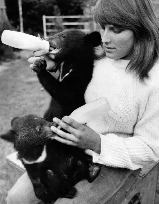 Framed Print : Beth Reed with Tinker and Tucker, the yound bear cubs and her pet Great Dane Rio Framed Print : Beth Reed with Tinker and Tucker, the yound bear cubs and her pet Great Dane Rio