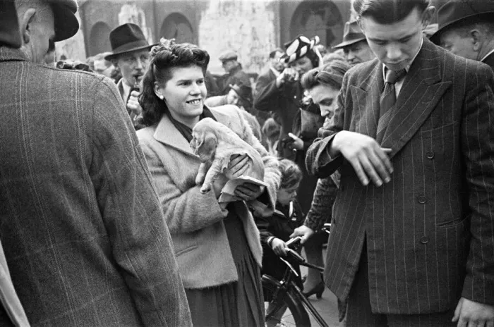 Framed Print : Bethnal Green Street Pet Market, East London. 23rd May 1946