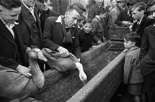 Bethnal Green Street Pet Market in East London. 23rd May 1946