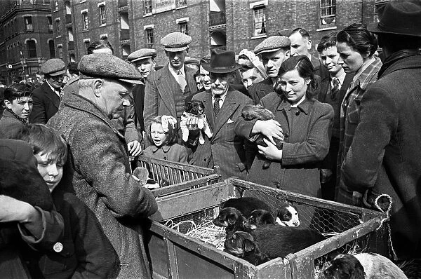 Bethnal Green Wast London Street Pet Market. 23rd May 1946