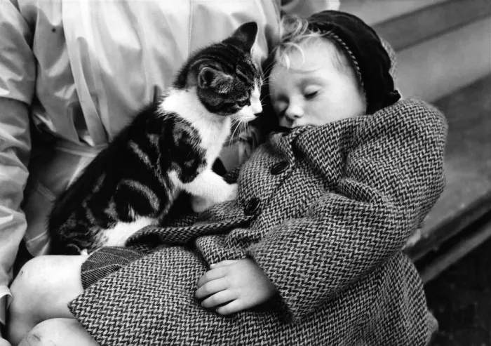 Framed Print : Beverley Anne, aged 3, insisted on accompanying her mother to the vet Framed Print : Beverley Anne, aged 3, insisted on accompanying her mother to the vet