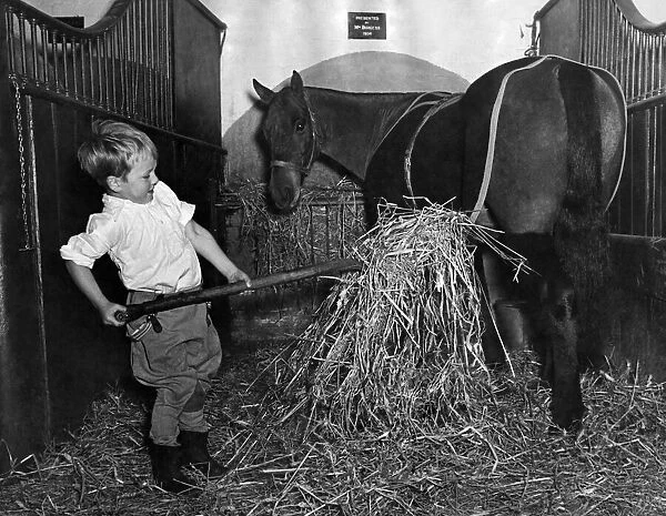 Billy Mackie age 4, has 16 horses as playmates. Cleverest boy in the country with horses