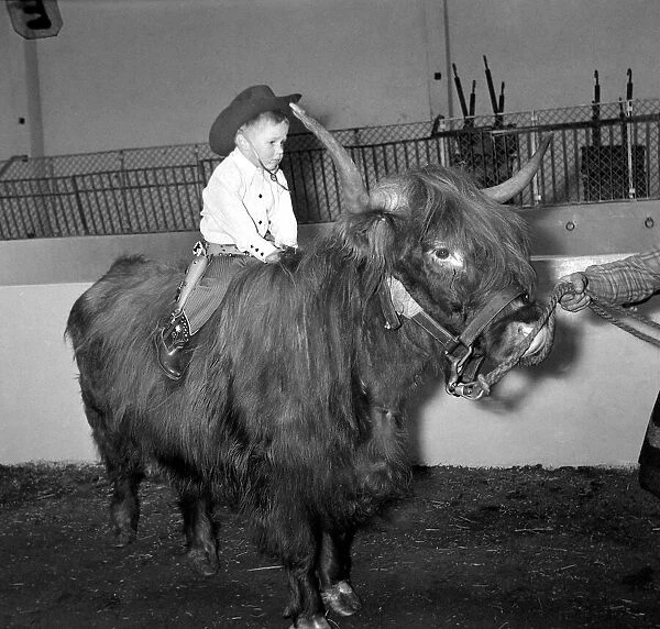 Billy Smarts Circus 2 year old Gary Smart riding a Highland Ox wearing cowboy