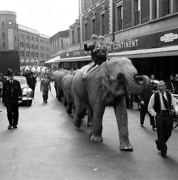 Billy Smarts Circus animals leaving Victoria, london. 18th September 1955